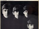 The Beatle 