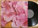 Still Life 1970 ST Vertigo swirl 1st press vinyl prog