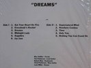 Rare guitar psych: Windflower