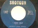 DETROIT LAND APPLES I Need Help 45 RARE NORTHERN SOUL