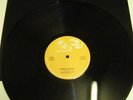 MAYTONES & I ROY; MONEY TROUBLE.1977 UK ORIGINAL12