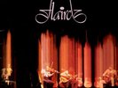 FLAIRCK Live in Amsterdam folk prog 2LP Dutch press M-