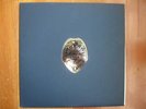 BRAIN POLICE LP ROCKADELIC 1968 San Diego Garage Psych