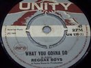 REGGAE BOYS UK UNITY 45 WHAT YOU GONNA DO . LISTEN