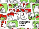 WYNDER K. FROGG / SUNSHINE SUPERFROG / LP