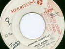 LESLIE BUTLER & LYN TAITT / HORNPIPE ROCKSTEADY listen