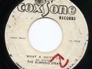 Burning Spear - What A Happy Day - Rare Studio 1 Reggae