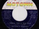 NORTHERN SOUL/BOTTOM & COMPANY/GONNA FIND A TRUE LOVE