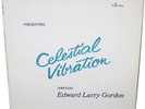 EDWARD LARRY GORDON Private Cosmic Jazz LP 1978 LARAAJI