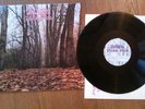 TWINK   THINK PINK        MEGA   RARE LP