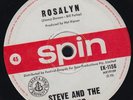 STEVE & THE BOARD ROSALYN 60s GARAGE PUNK 45 Listen