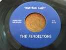 Texas Garage: THe Pendeltons on Alamo Audio 116