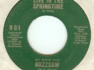 BUZZSAW:Live In The Springtime-I Can Make You Happy-7