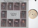 THE VOICES OF EAST HARLEM-CAN YOU FEEL IT-R&B/SOUL LP
