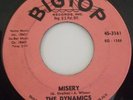 BIG Top US 45 The Dynamics MISERY Mint Northern classic