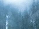 Wolves In The Throne Room Diadem Of 12 Stars Weakling