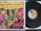 Jimi Hendrix-Are you experienced/mint French 33Rpm