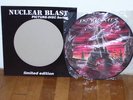 SIGNED IN FLAMES - COLONY - PICTURE DISC