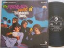 BLOSSOM TOES-Psychedelic sound of-ORIGINAL ITALY LP