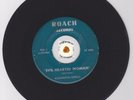 Garage Psych Fuzz 45 BURLINGTON EXPRESS ROACH39098 HEAR
