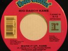 BIG DADDY KANE Warm It Up Kane RARE FUNK/RAP 45 mp3