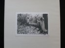 SUNN 0))) White Box 4xLP OOP #77/500 ISIS JESU NEUROSIS