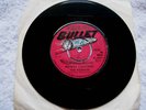 THE VICEROYS POWER CONTROL ORIG 1970 BULLET 45