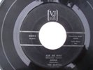 THE BEATLES ( EP ) VEE JAY RECORDS