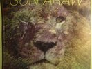 Sun Araw / Predator Vision - Hey Mandala LP Not not fun