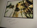 Pelt double LP signed by Jack Rose