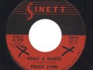 Trudy Lynn 1973 Sinett 45rpm What A Waste