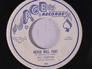 BILL HORTON & SILHOUETTES: Never Will Part / Evelyn 45 (tiny lbl stain) rare Vo