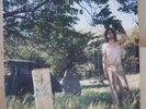 Ariel Pink - The Doldrums OOP LP - Animal Collective
