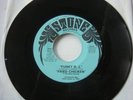 Fried Chicken Funky DJ 45 Brainfreeze Funk LISTEN