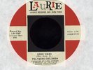 POLYMERS CHILDREN laid back rural psych rock 7