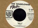 WILDFLOWER excellent 1969 psych pop bubblegum 7