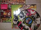 Yeah Yeah Yeahs - Fever to Tell - Rare Picture Disc