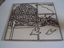 THE MILLENIUM BEGIN Orig. NM GARAGE PSYCH LP