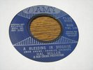 Hal Miller 60S DJ VOCAL GROUP 45 A Blessing In Disguise