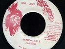 Nut Head Buming Ball JA Wild Apache 45 Listen