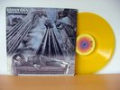 STEELY DAN 