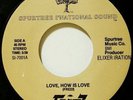Rare Modern Soul 45 FRITZ on SPURTREE INTL SOUND 