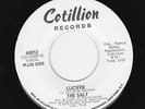 SALT Lucifer 1968 RARE SATANIC GARAGE PSYCH 45 LISTEN