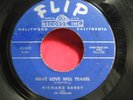 NOR SOUL FLIP 349  RICHARD BERRY  HAVE LOVE WILL TRAVEL