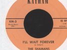 THE SHAMANS - I'LL WAIT FOREVER - 7