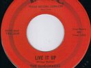 WILD ROCKABILLY ROCKER - THE SUNDOWNERS - T.R.C (HEAR)