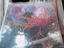 animal collective here comes the indian lp oop paw1