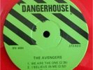 AVENGERS We Are the One 7