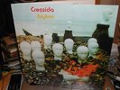 CRESSIDA ASYLUM DOUBLE LP GATEFOLD SLEEVE ITALY MINT