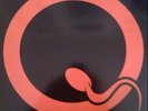 Queens Of The Stone Age- Songs For The Deaf LP US